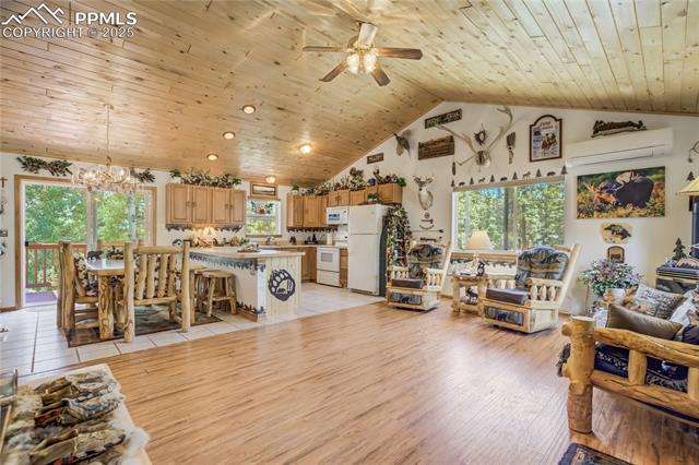 MLS Image for 4069  Omer  ,Divide, Colorado