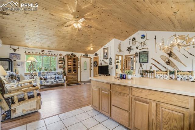 MLS Image for 4069  Omer  ,Divide, Colorado