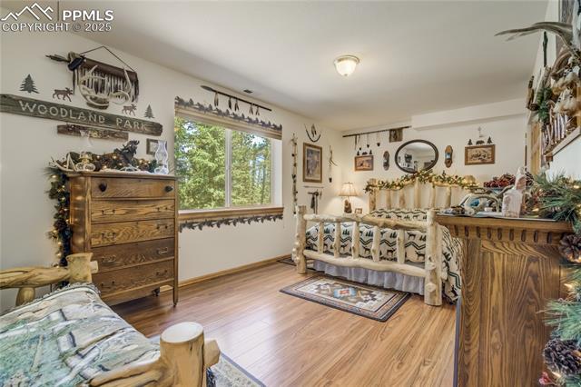 MLS Image for 4069  Omer  ,Divide, Colorado