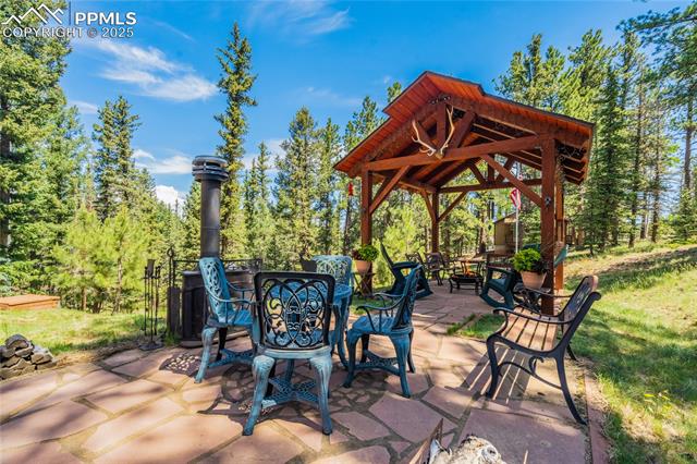 MLS Image for 4069  Omer  ,Divide, Colorado