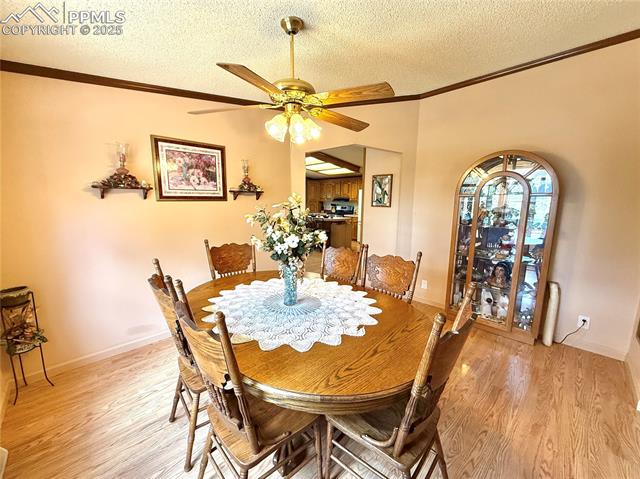 MLS Image for 17  Amanda  ,Florissant, Colorado