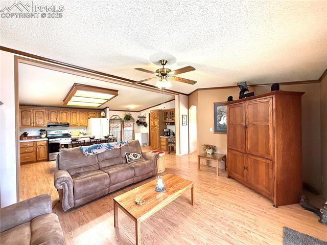 MLS Image for 17  Amanda  ,Florissant, Colorado