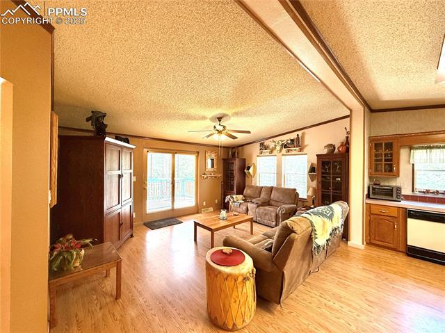 MLS Image for 17  Amanda  ,Florissant, Colorado