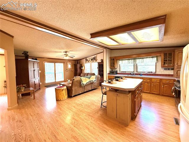 MLS Image for 17  Amanda  ,Florissant, Colorado