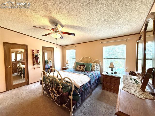 MLS Image for 17  Amanda  ,Florissant, Colorado