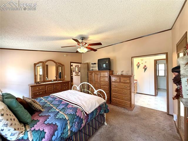 MLS Image for 17  Amanda  ,Florissant, Colorado
