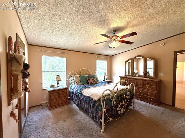 MLS Image for 17  Amanda  ,Florissant, Colorado