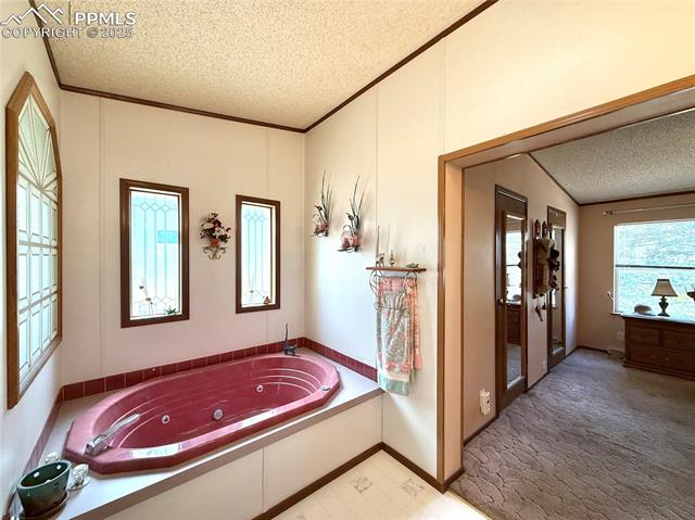 MLS Image for 17  Amanda  ,Florissant, Colorado