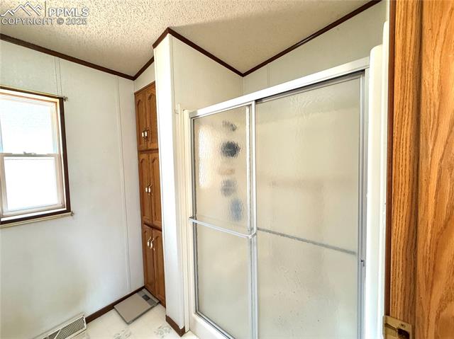 MLS Image for 17  Amanda  ,Florissant, Colorado