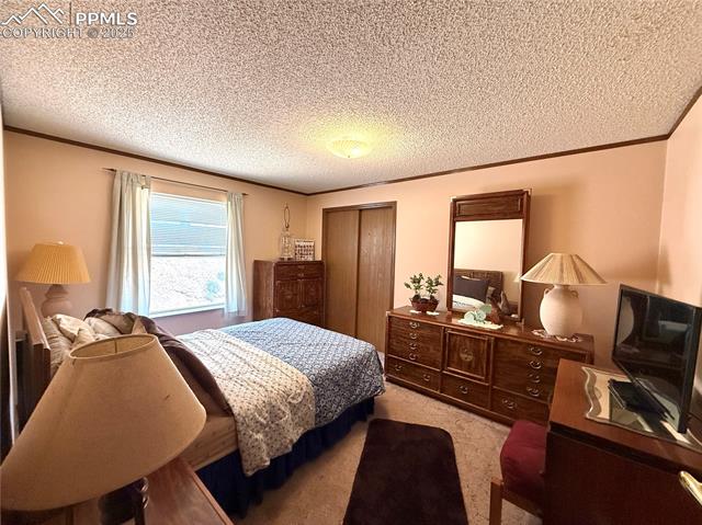 MLS Image for 17  Amanda  ,Florissant, Colorado