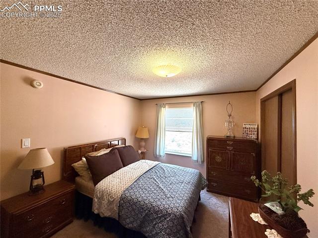 MLS Image for 17  Amanda  ,Florissant, Colorado