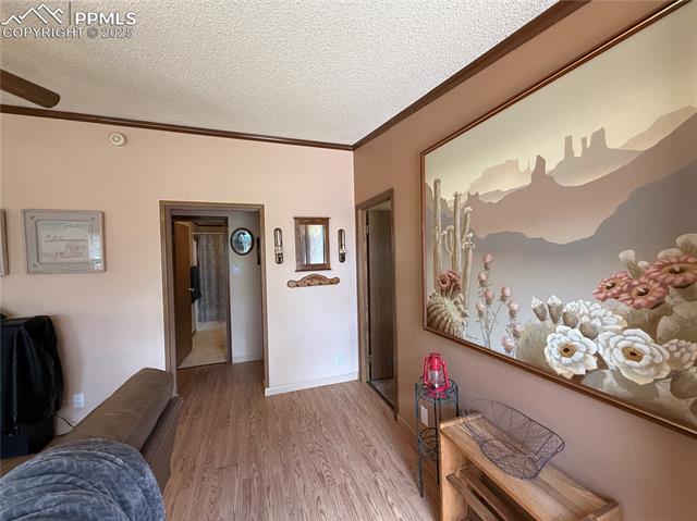 MLS Image for 17  Amanda  ,Florissant, Colorado