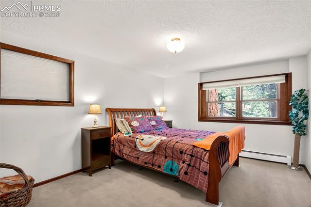 MLS Image for 55  Ponderosa  ,Woodland Park, Colorado