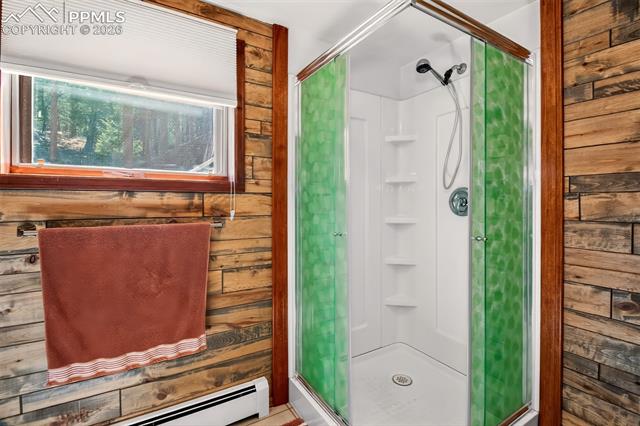 MLS Image for 55  Ponderosa  ,Woodland Park, Colorado