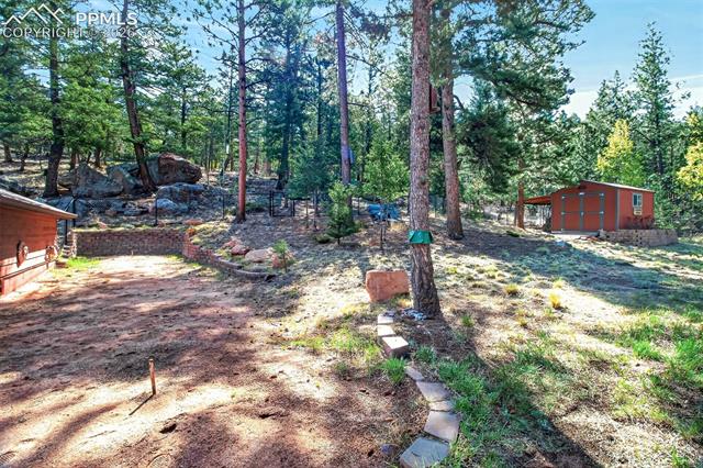 MLS Image for 55  Ponderosa  ,Woodland Park, Colorado