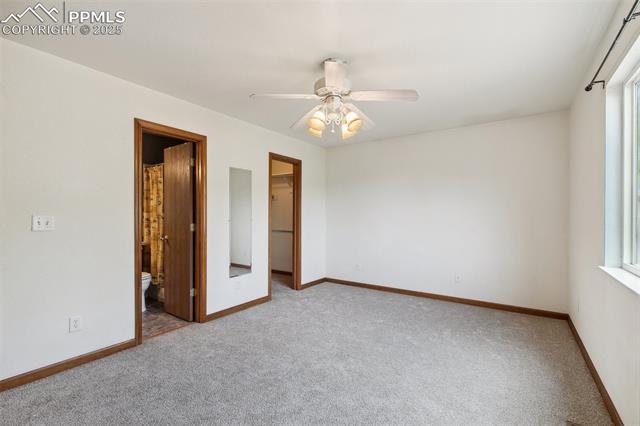MLS Image for 5630  Almont  ,Colorado Springs, Colorado