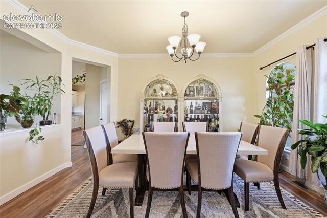 MLS Image for 1023  Whistler Hollow  ,Colorado Springs, Colorado