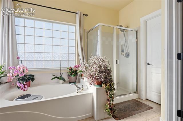 MLS Image for 1023  Whistler Hollow  ,Colorado Springs, Colorado