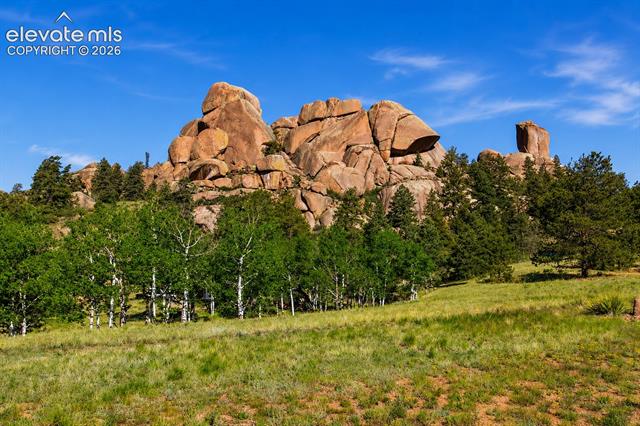 MLS Image for 875  Hackamore  ,Florissant, Colorado