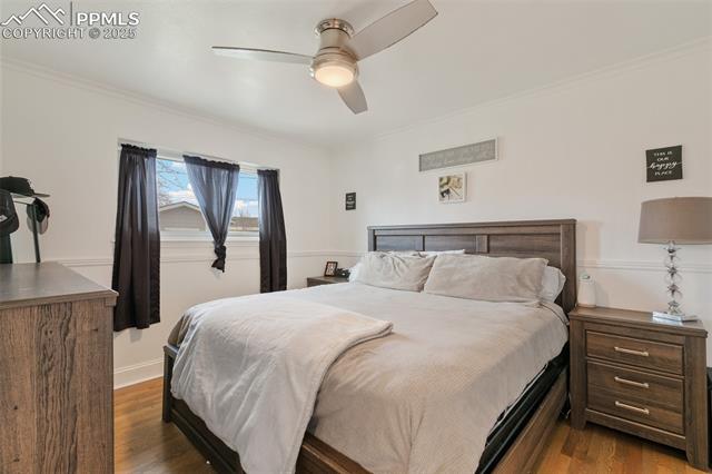 MLS Image for 166  Harvard  ,Colorado Springs, Colorado