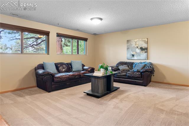 MLS Image for 19325  Glen Hollow  ,Monument, Colorado