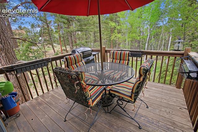 MLS Image for 877 N Mountain Estates  ,Florissant, Colorado