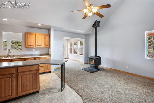 MLS Image for 16  Echo  ,Florissant, Colorado