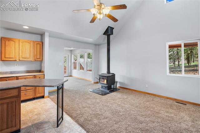MLS Image for 16  Echo  ,Florissant, Colorado