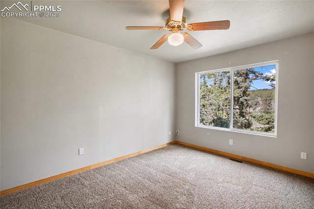 MLS Image for 16  Echo  ,Florissant, Colorado