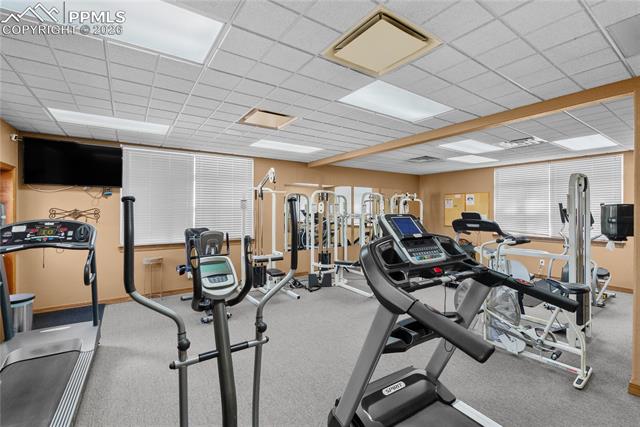 MLS Image for 7647  Black Bear  ,Colorado Springs, Colorado