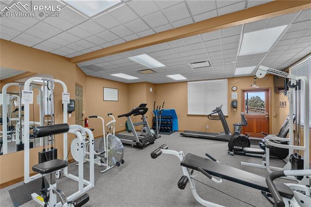 MLS Image for 7647  Black Bear  ,Colorado Springs, Colorado