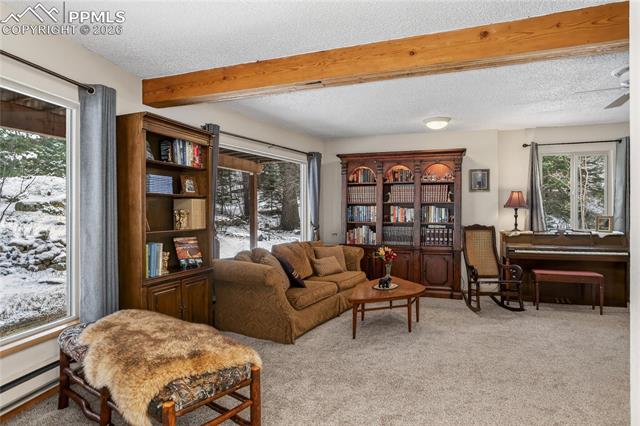 MLS Image for 5145  Neeper Valley  ,Manitou Springs, Colorado