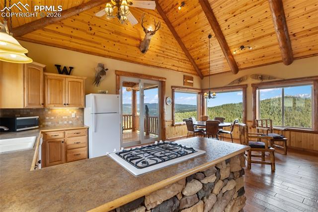 MLS Image for 29549 N Highway 67  ,Woodland Park, Colorado