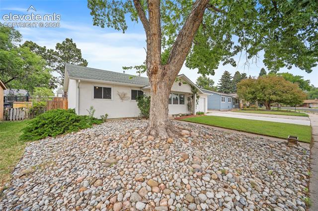 MLS Image for 1334  Edith  ,Colorado Springs, Colorado