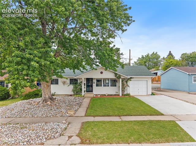 MLS Image for 1334  Edith  ,Colorado Springs, Colorado