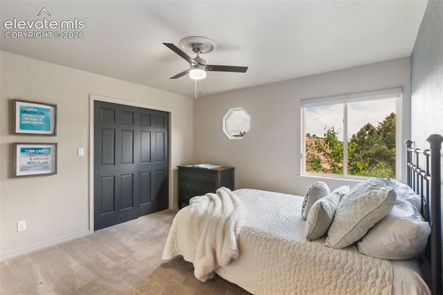 MLS Image for 8025  Applestone  ,Colorado Springs, Colorado