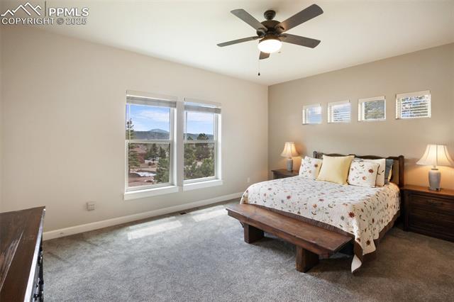MLS Image for 1105  Highlands  ,Woodland Park, Colorado
