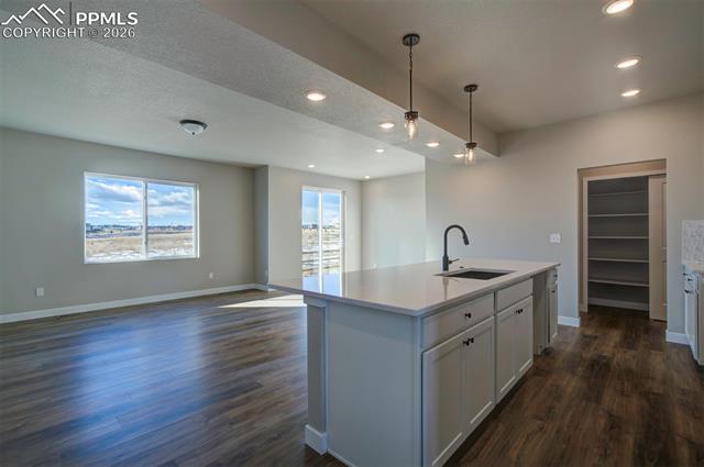 MLS Image for 11012  Retreat Peak  ,Peyton, Colorado