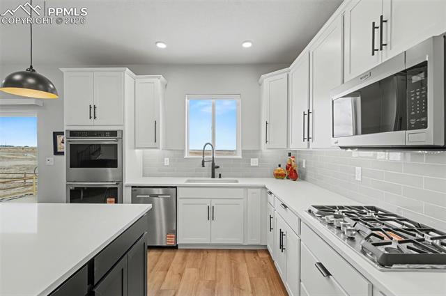 MLS Image for 10821  Morning Hills  ,Peyton, Colorado