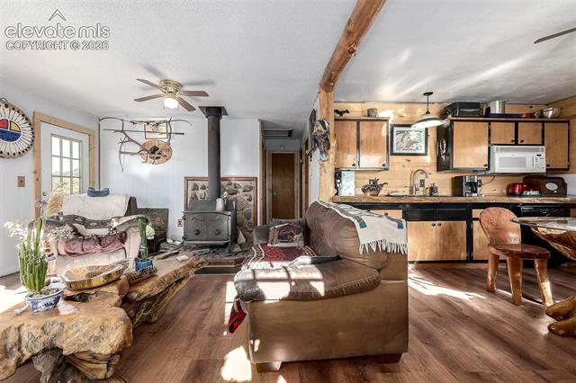 MLS Image for 201  Lake  ,Florissant, Colorado