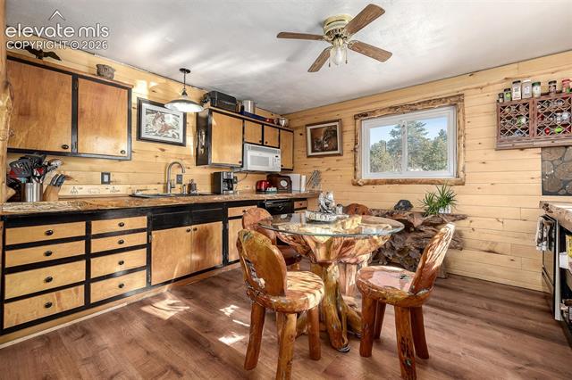 MLS Image for 201  Lake  ,Florissant, Colorado