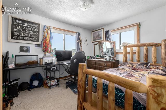 MLS Image for 201  Lake  ,Florissant, Colorado