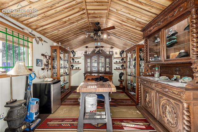 MLS Image for 201  Lake  ,Florissant, Colorado