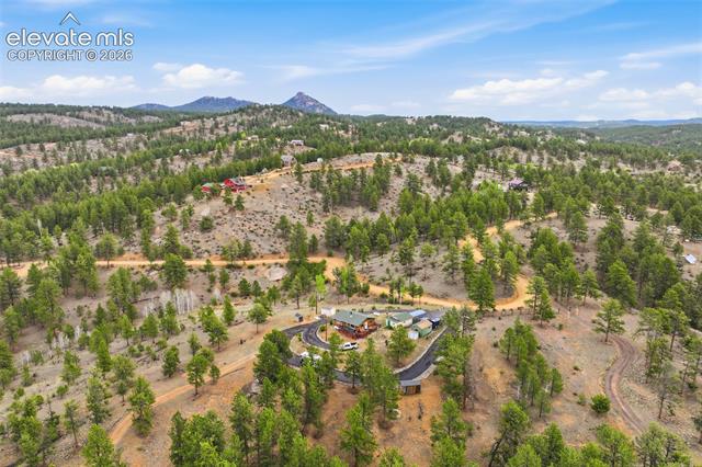 MLS Image for 201  Lake  ,Florissant, Colorado