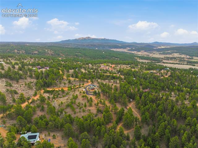 MLS Image for 201  Lake  ,Florissant, Colorado