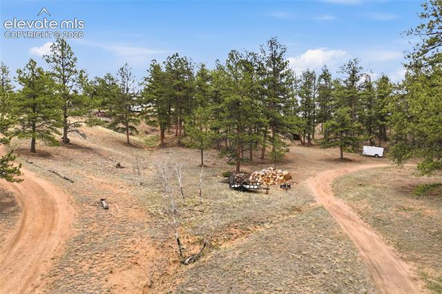 MLS Image for 201  Lake  ,Florissant, Colorado