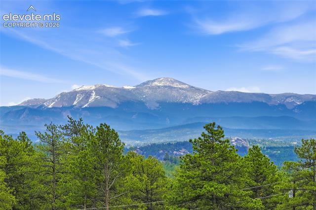 MLS Image for 201  Lake  ,Florissant, Colorado