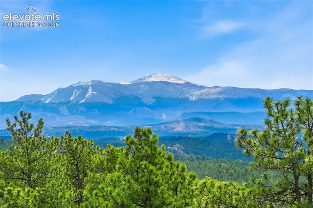 MLS Image for 201  Lake  ,Florissant, Colorado