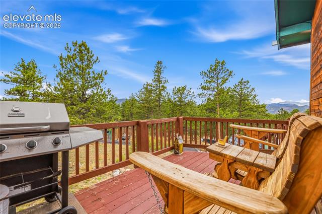 MLS Image for 201  Lake  ,Florissant, Colorado