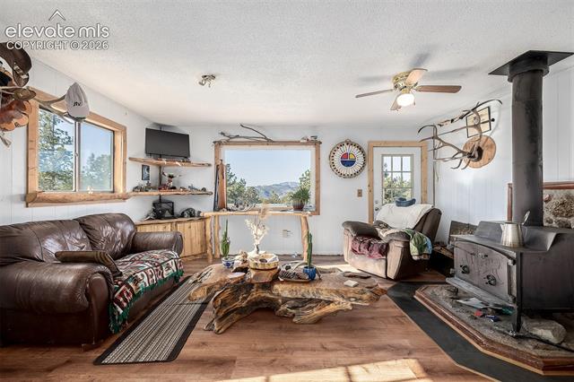 MLS Image for 201  Lake  ,Florissant, Colorado